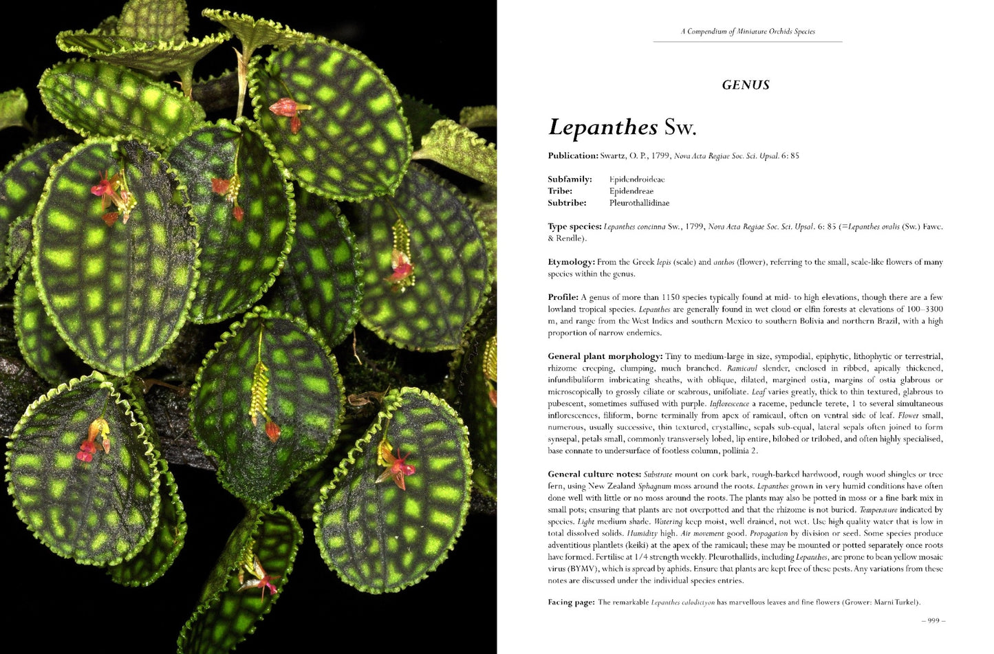 A Compendium of Miniature Orchid Species, 2nd Edition. 4 Volume Set