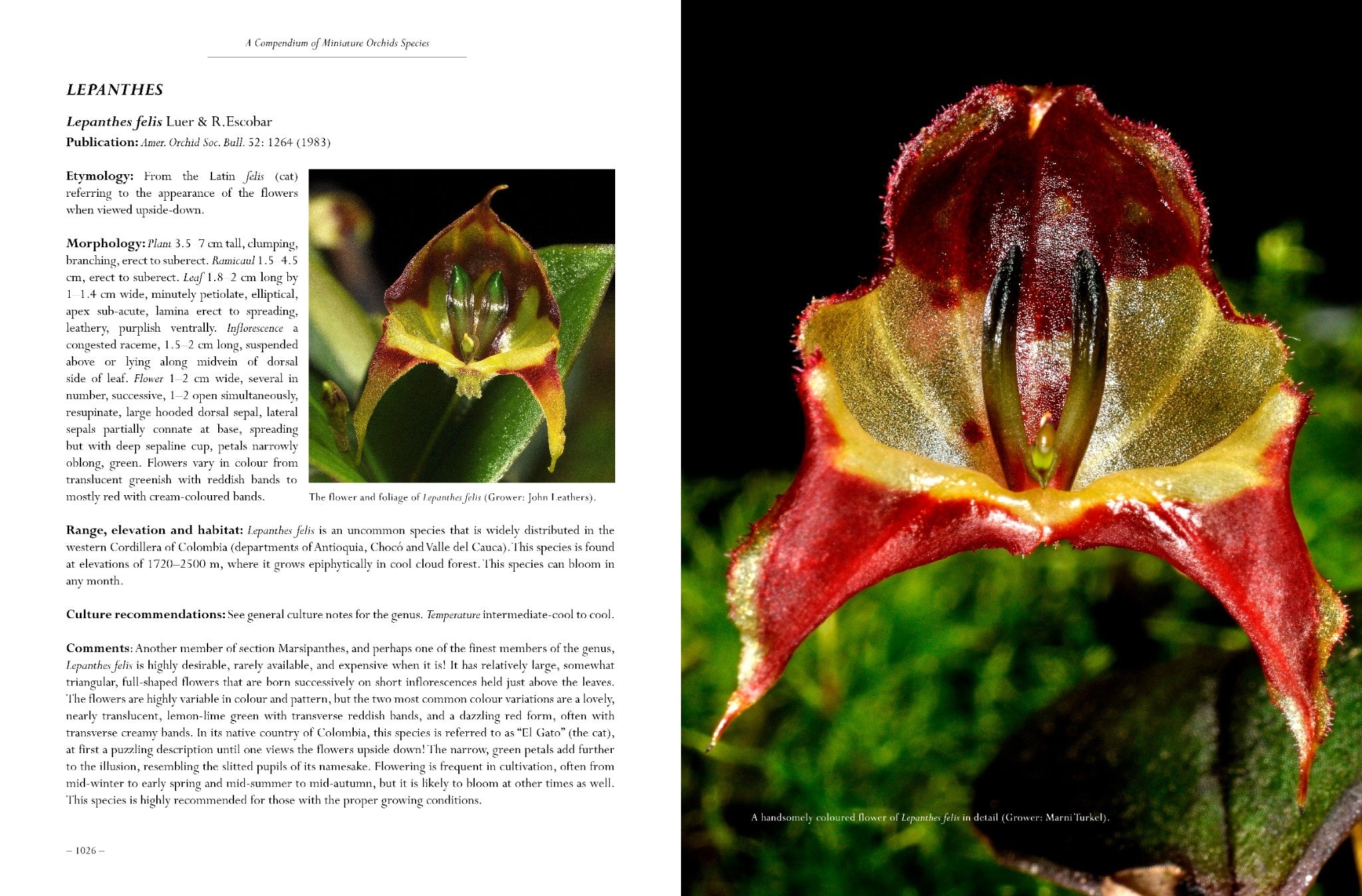 A Compendium of Miniature Orchid Species, 2nd Edition. 4 Volume