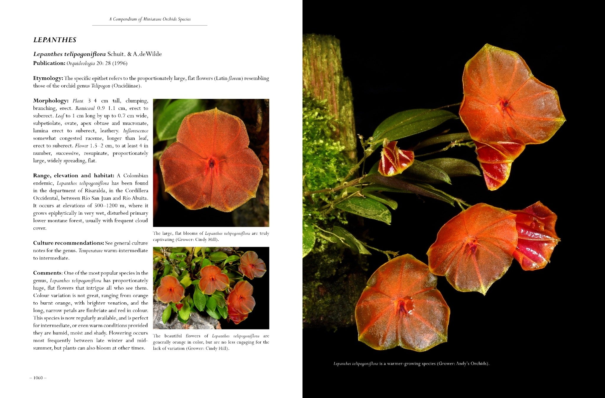 A Compendium of Miniature Orchid Species, 2nd Edition. 4 Volume