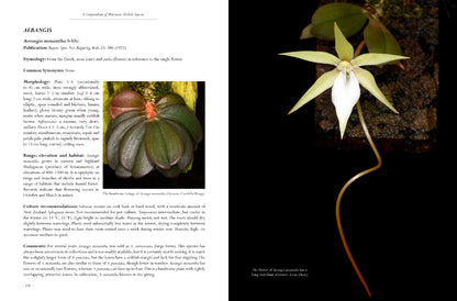 A Compendium of Miniature Orchid Species, 2nd Edition. 4 Volume Set