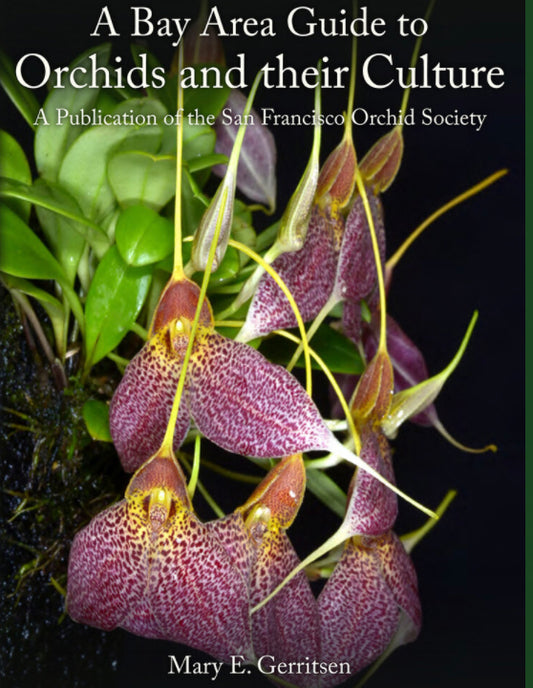 A Bay Area Guide to Orchids and Their Culture