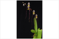 Paphiopedilum philippinense